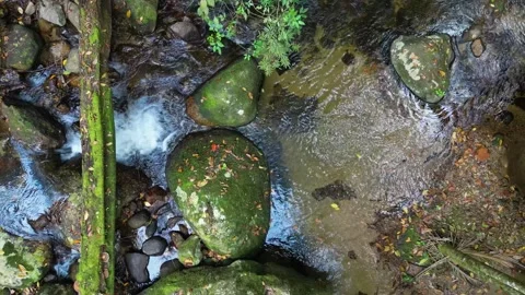 Small Waterfall Cascading Over Mossy Rocks in Tropical Jungle Vídeos de archivo 334617184