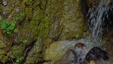 Small Waterfall Cascading Over Mossy Rocks in a Lush Forest Stream Stock Footage 342310029