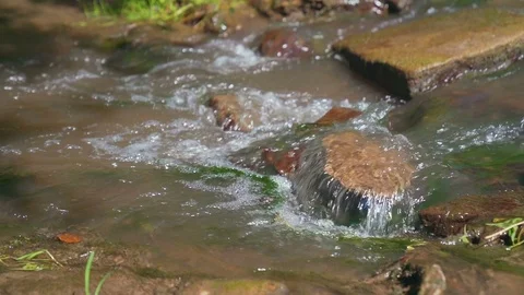 Small Waterfall Cascading over Rocks in Tropical Forest. Slow motion Stock Footage 92415559