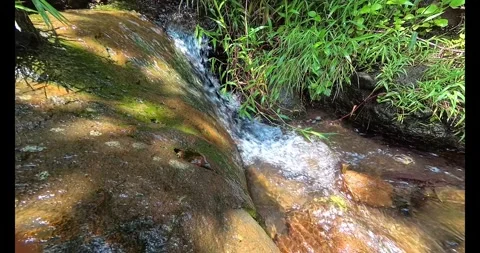 Small waterfall cascading over rocks in tropical rainforest Stock Footage 317731914