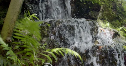 Small waterfall cascading over rocks in a garden, surrounded by lush and natural Stock Footage 320318381