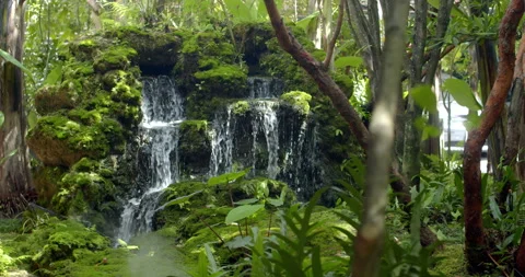 Small waterfall cascading over rocks in a garden, surrounded by lush and natural Stock Footage 320318544