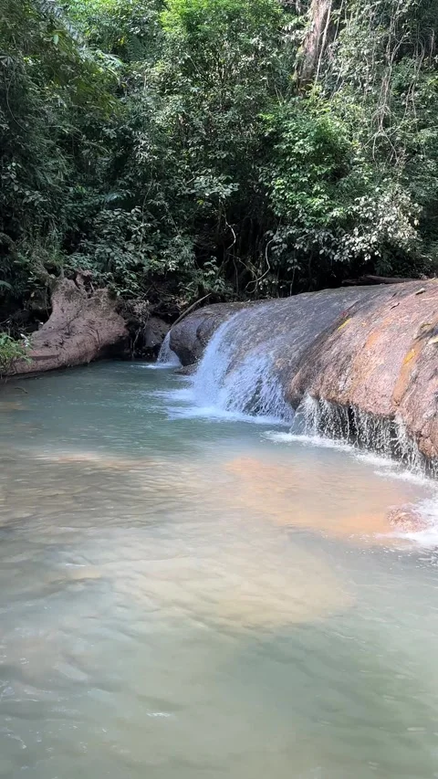 Small Waterfall Cascading Over Rocks in Tropical Jungle, Vertical Shot Stock Footage 324272092