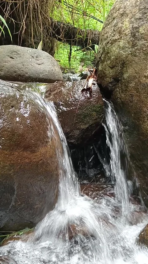 Small Waterfall Cascading Over Rocks Close Up Forest Stream Stock Footage 330582758