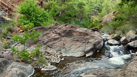 Small waterfall cascading over rocky stream in lush green forest Stock Footage 314893904