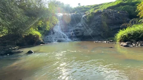 Small Waterfall Cascading into River in Green Forest, Sunlight, Wide Shot Video stock 323777617