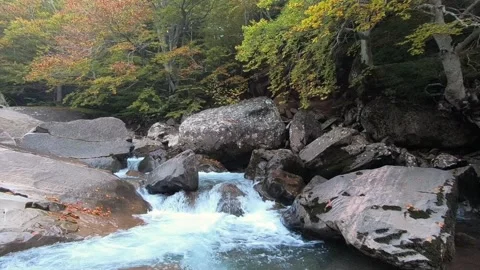 Small Waterfall Cascading Through Boulders in Autumn Forest Stream. Stock Footage 343978101