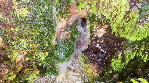 Small Waterfall Cascading Through Mossy Forest Rocks Vídeo Stock 316584652