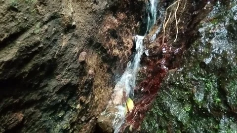 Small Waterfall Cascading Through Rocky Forest Creek Stock Footage 329798037