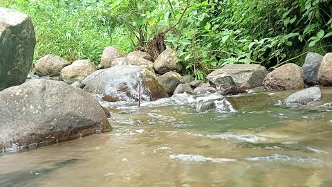 Small Waterfall Cascading in Tropical Jungle Stream Stock Footage 330591480