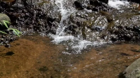 Small waterfall with clear water flowing through natural rocks Stock Footage 291917880