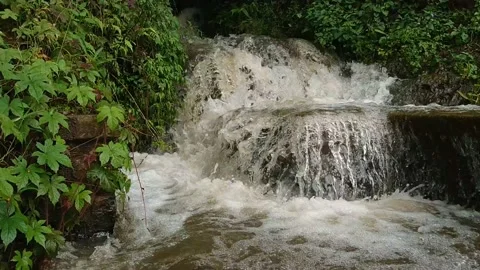 Small waterfall in the countryside Video stock 214573845