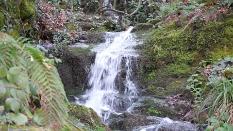 Small waterfall on creek Stock Footage 171415006