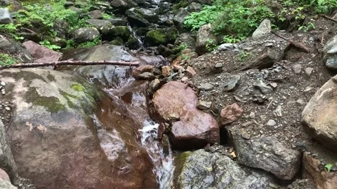 Small Waterfall Creek In Forest 스톡 동영상 149133093