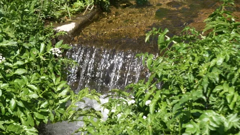 Small waterfall on a crystal clear stream in the woods, slow motion 動画素材 276885754