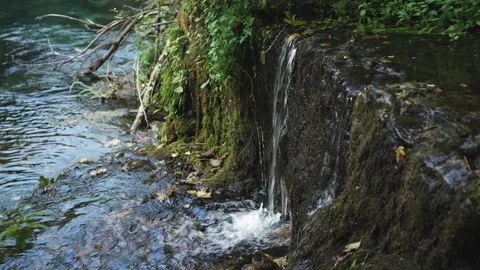 Small waterfall with crystal clear water. Stones and logs covered with moss Video stock 255798623