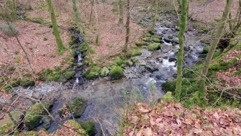 Small waterfall in the Cumbrian Lake District, just outside the village of .. Stockbeeldmateriaal 237362397