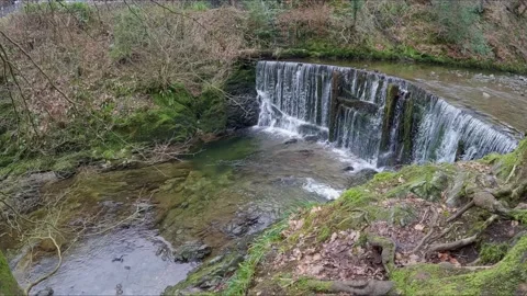 Small waterfall in the Cumbrian Lake District, just outside the village of .. Vidéo 237362557