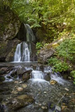 Small waterfall in deep forest covered with green trees. Amazing landscape wi Stock Photos