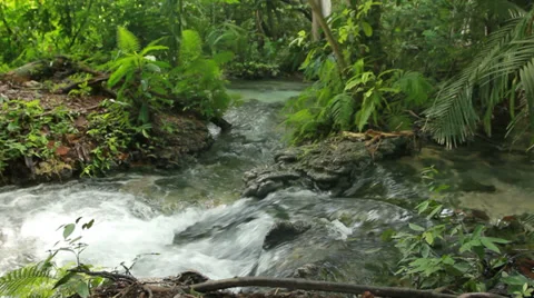 Small waterfall in deep forest Video stock 37628268