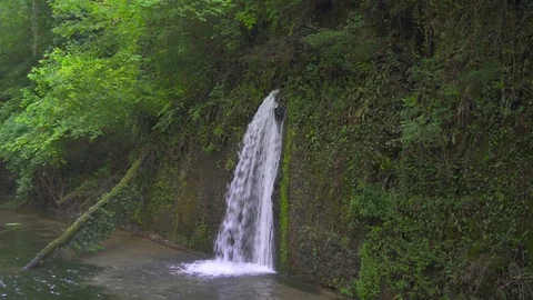 Small Waterfall in a Deep Forest in Italy Stock Footage 75837917