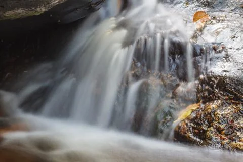 Small Waterfall in deep forest Foto stock