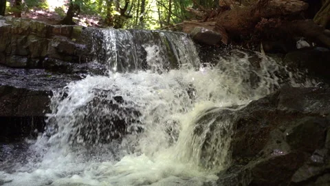 Small Waterfall Deep in the Forest – Slow Motion Shot 動画素材 311730909