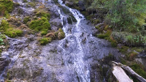 Small waterfall in a deep forest surrounded by an trees. Wilderness nature. 스톡 동영상 120358260