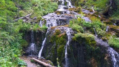 Small waterfall in a deep forest surrounded by an trees. Wilderness nature. Vidéo 120358496
