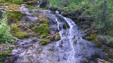 Small waterfall in a deep forest surrounded by an trees. Wilderness nature. 스톡 동영상 120358689