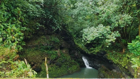 Small waterfall in the depth of the tropical rainforest. A waterfall near Road t Stock Footage 274926320