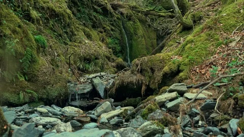 A small waterfall down a rock face covered in moss Stock Footage 122163709