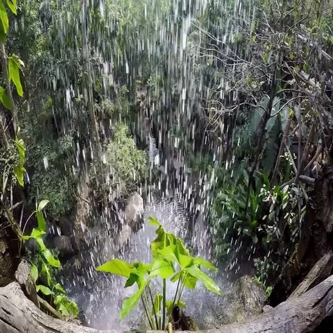Small Waterfall Falling Down In Wild Forest Stock Footage 69515948
