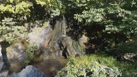 Small Waterfall Feature 스톡 동영상 316071365