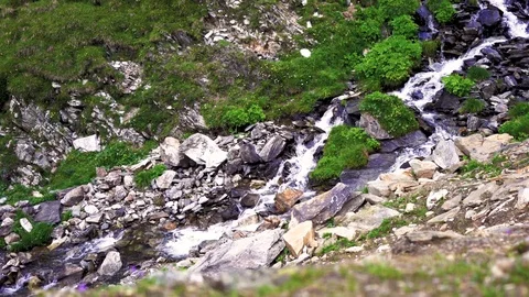 Small Waterfall Floating Through An Idyllic Landscape In The Alps Stockbeeldmateriaal 115119588