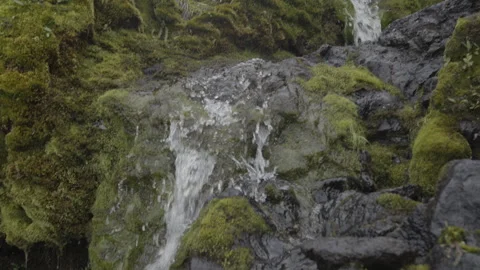 Small Waterfall Flowing Among Rocks and Moss Stock Footage 292942066