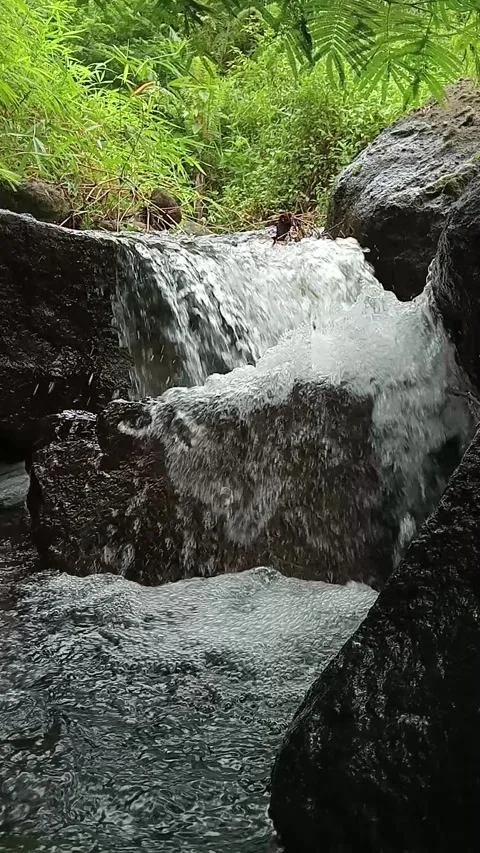 Small Waterfall Flowing Between Rocks in Tropical Forest Stock Footage 329900172