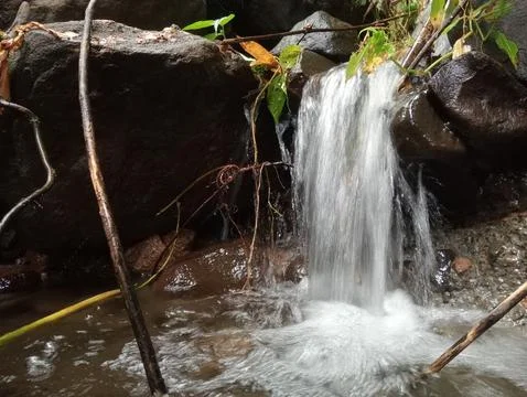 Small Waterfall Flowing Between Rocks in Forest Stock Photos