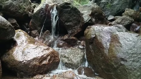 Small Waterfall Flowing Into Clear Forest Stream – Nature Footage Stock Footage 329778919