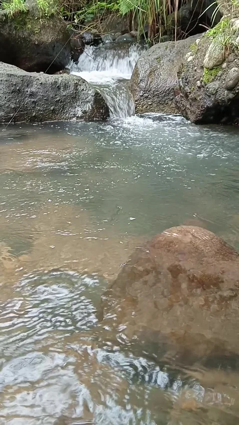 Small Waterfall Flowing Into Clear Pool in Tropical Forest Stock Footage 329818724