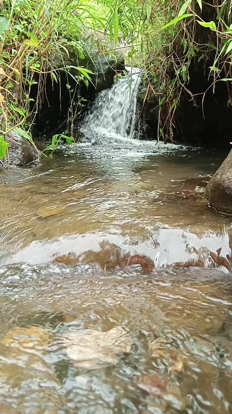 Small Waterfall Flowing into Clear Stream in Forest Stock Footage 330351025