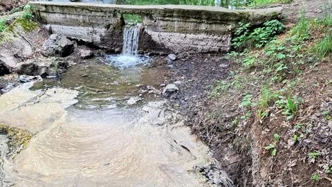 Small Waterfall Flowing from Concrete Weir into Shallow Forest Stream Stock Footage 337528418