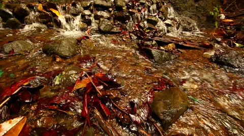 Small Waterfall Flowing Into Creek In Costa Rica HD Video Stock Footage 25079953