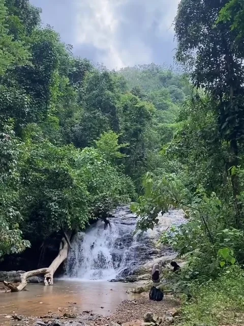Small Waterfall Flowing in Dense Green Jungle 库存影片 341320353