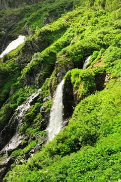 A small waterfall flowing down from the cliff overgrown with small bushes. Stock Photos