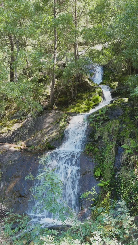 Small Waterfall flowing down granite rocks in lush forest Vídeos de archivo 295069948