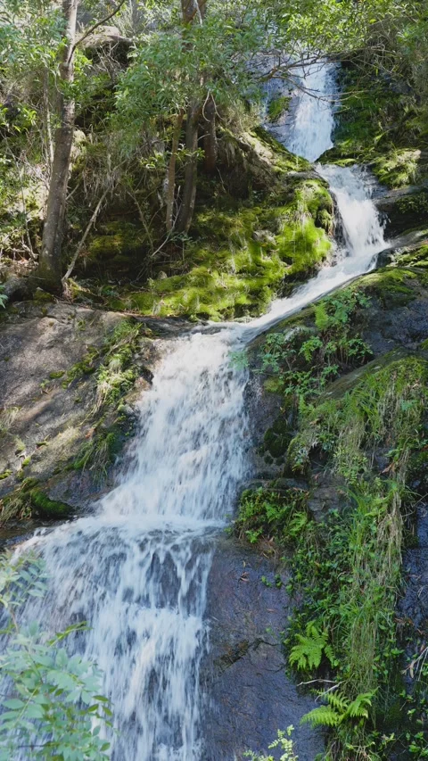 Small Waterfall flowing down granite rocks in lush forest Video stock 295070054
