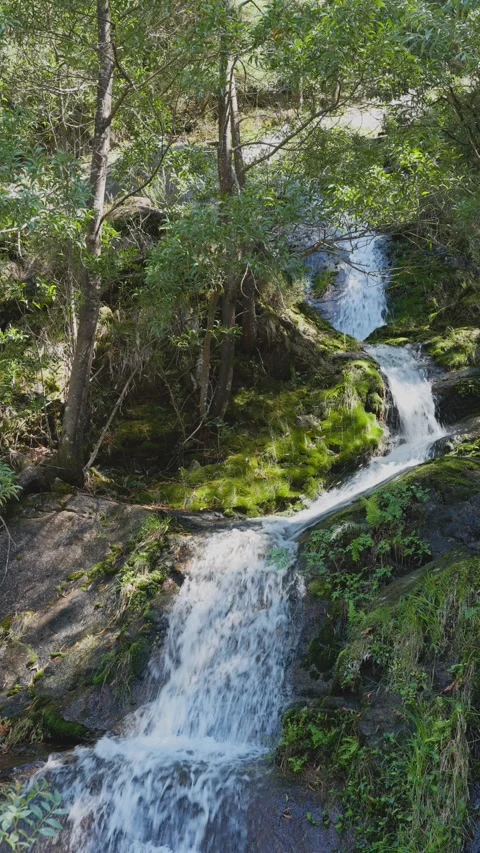 Small Waterfall flowing down granite rocks in lush forest Video stock 295070058