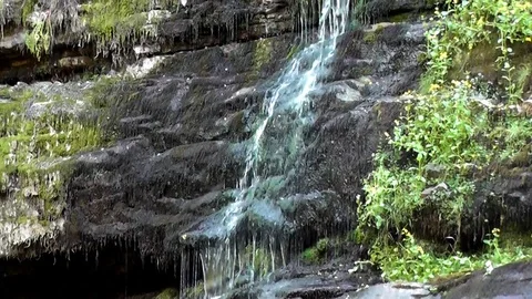 Small waterfall flowing down mossy rock in woodland Stock Footage 92576462
