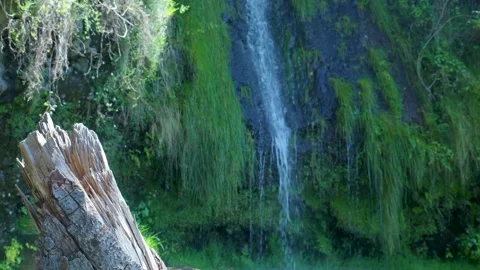 Small waterfall flowing down a mossy cliff in slow motion 库存影片 333696205